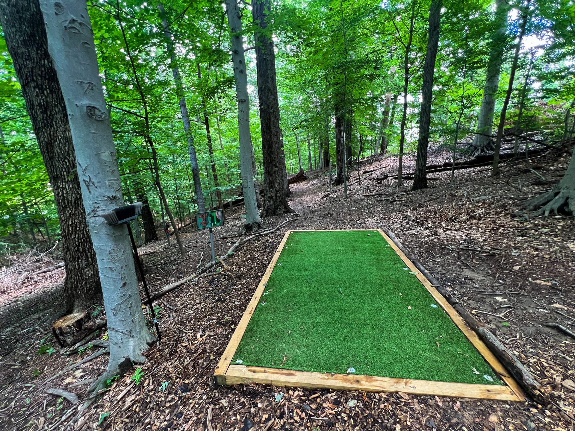 Hole 15's tee. Par 3. Pink is 205 ft and straight ahead. Yellow is 293 ft, is past pink and down to the left. 