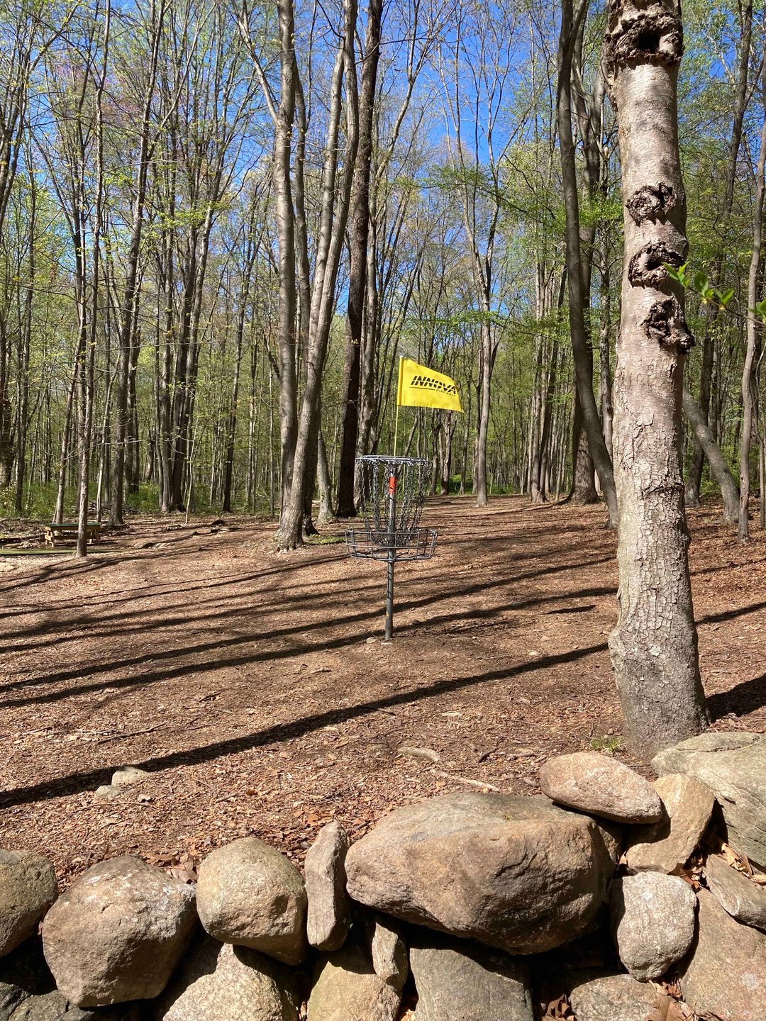 View from Hole 7 basket back up fairway