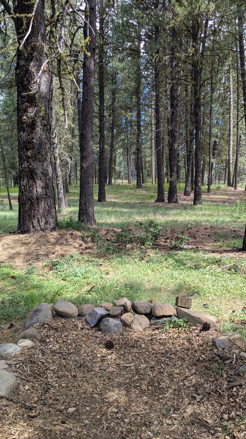 #21 - Tee Pad