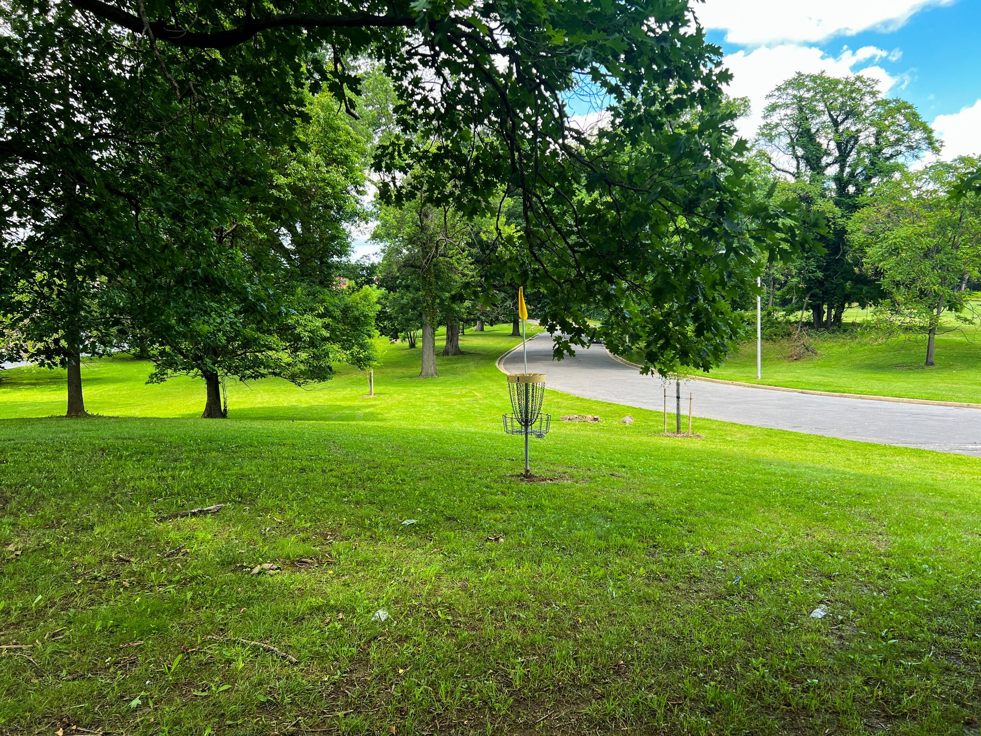 Hole 8's Yellow Basket. Par 4. 601 ft. Road is OB. 