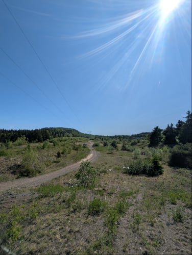 The Tee for Hole 14