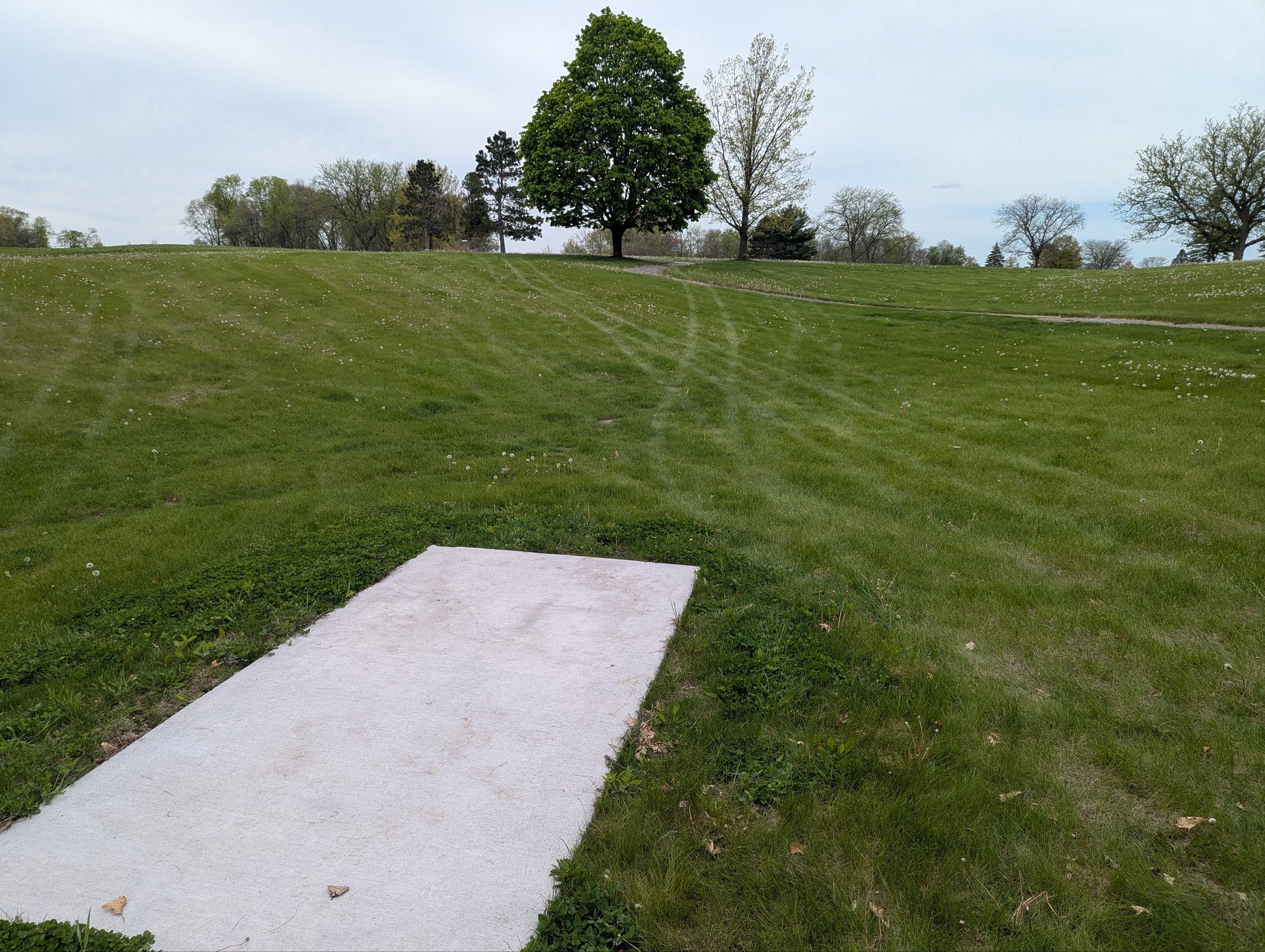 Hole 6 Short Tee