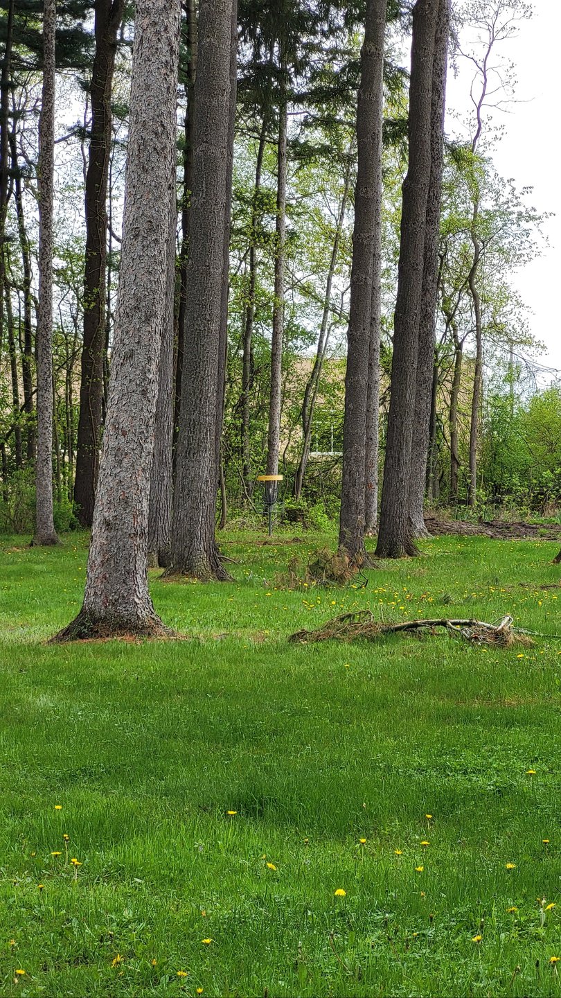 New Hole 1