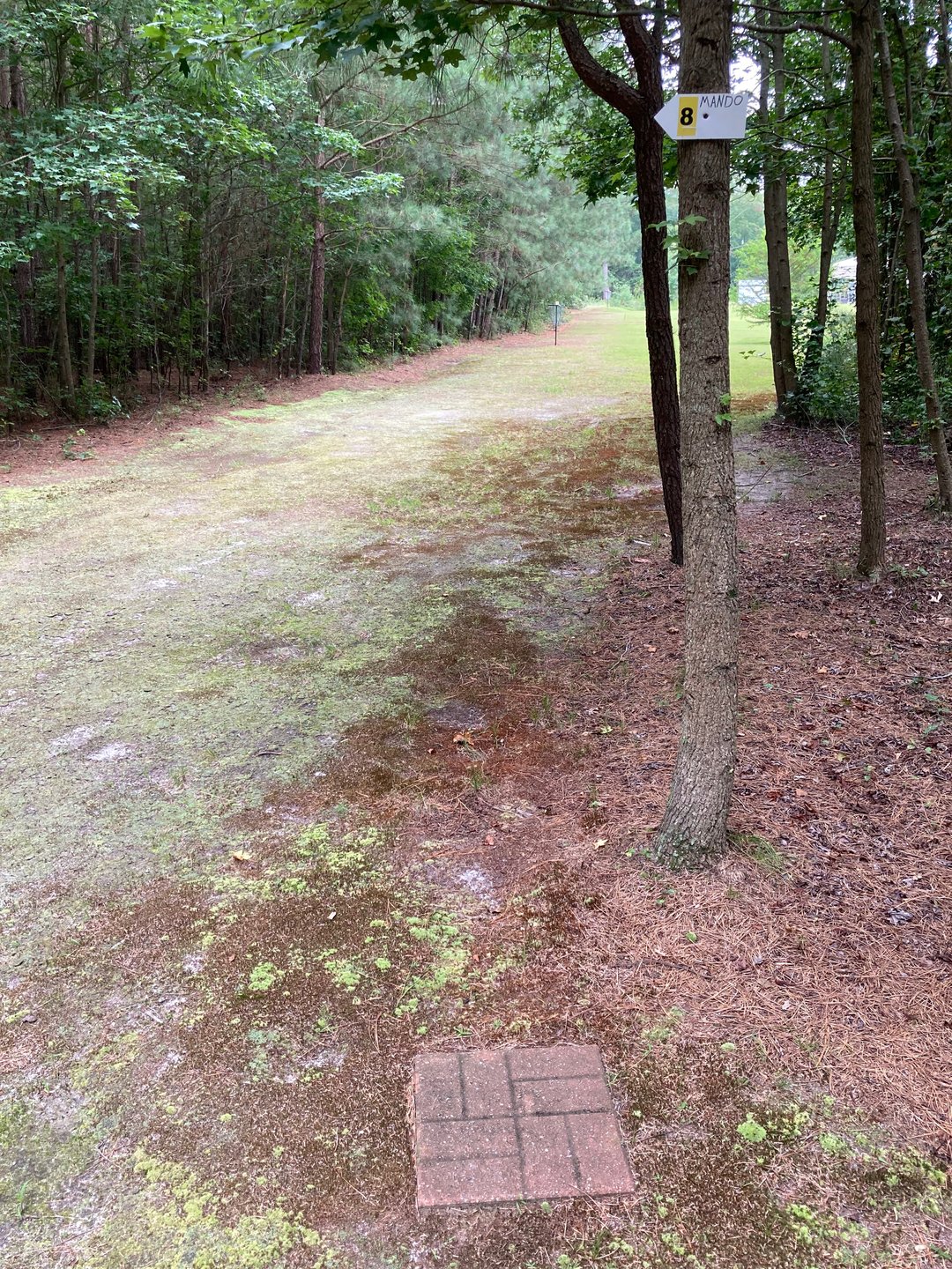 Hole 8 Mando and Drop Zone