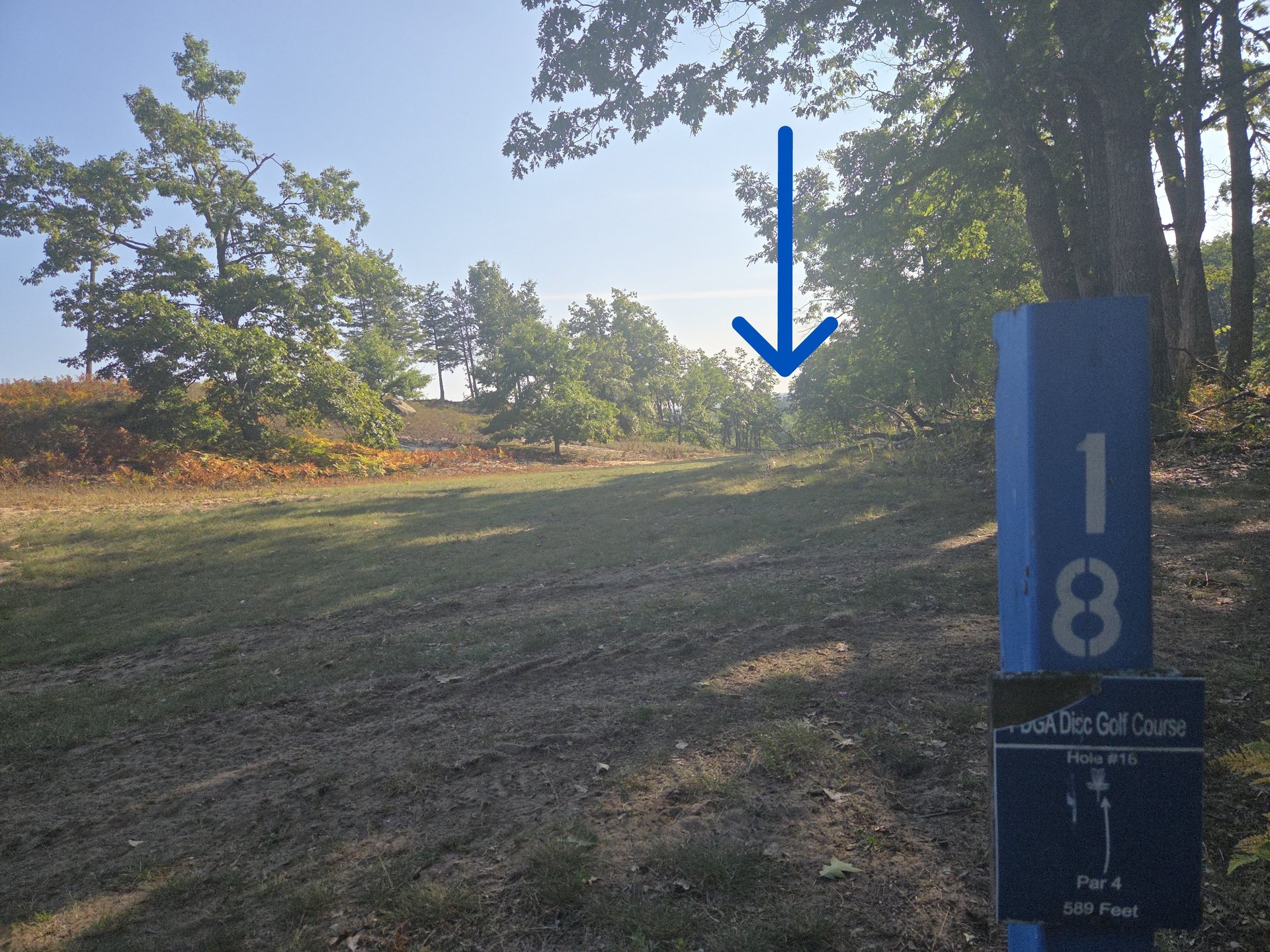 #18 tee to basket way down far left side hill