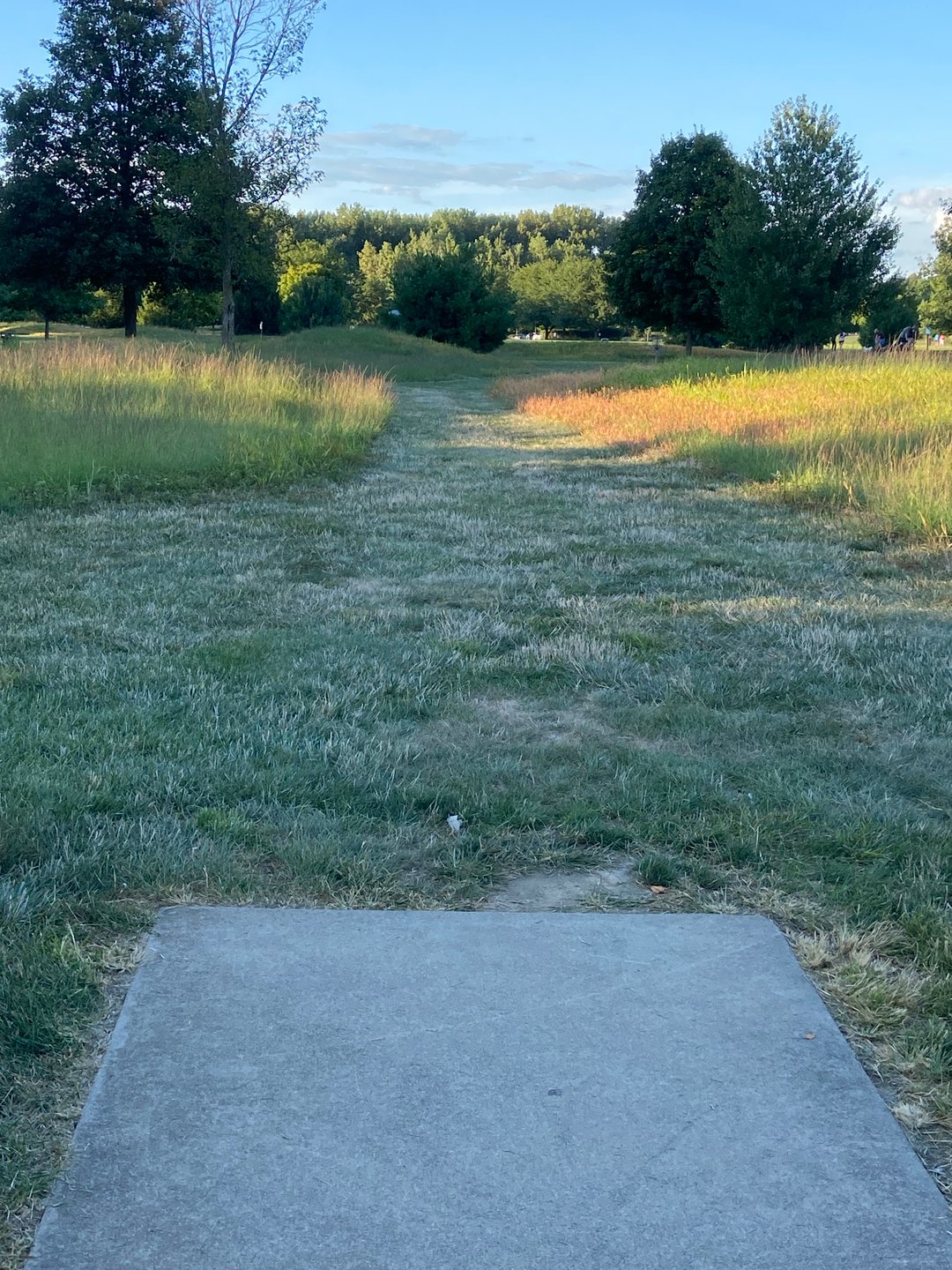 Hole 17. Basket under the tree to the right. 