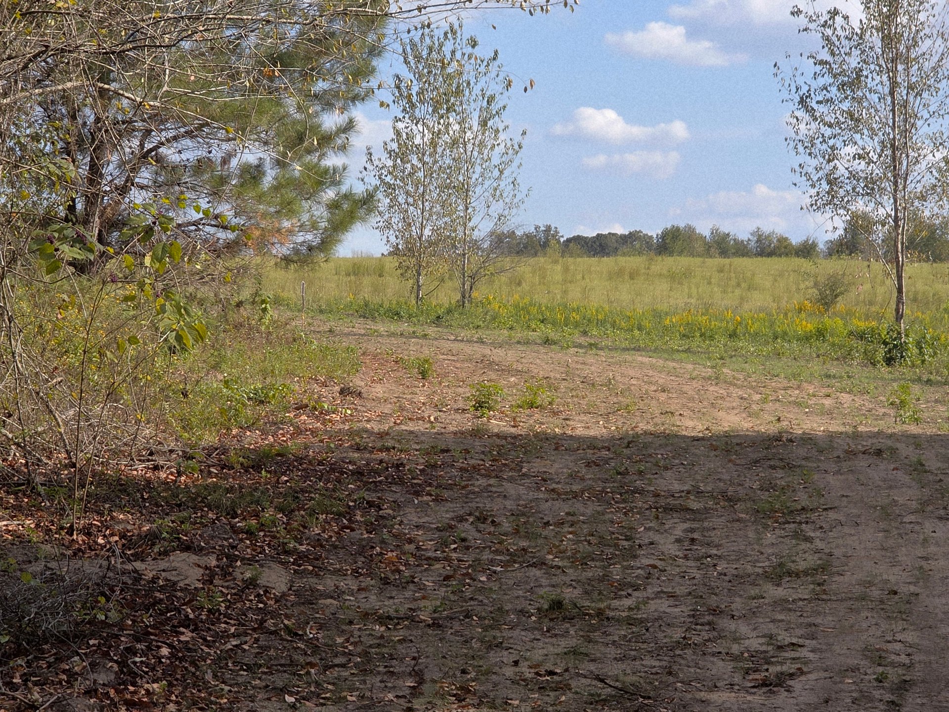 The left turning fairway and landing zone heading up the hill toward the basket.