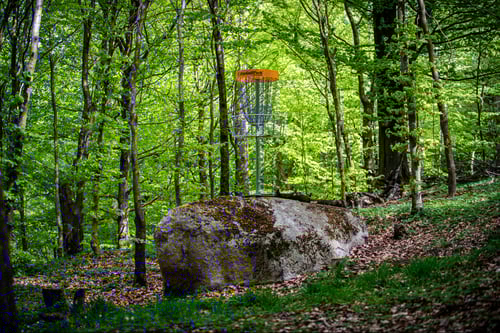 Basket on hole 16.
