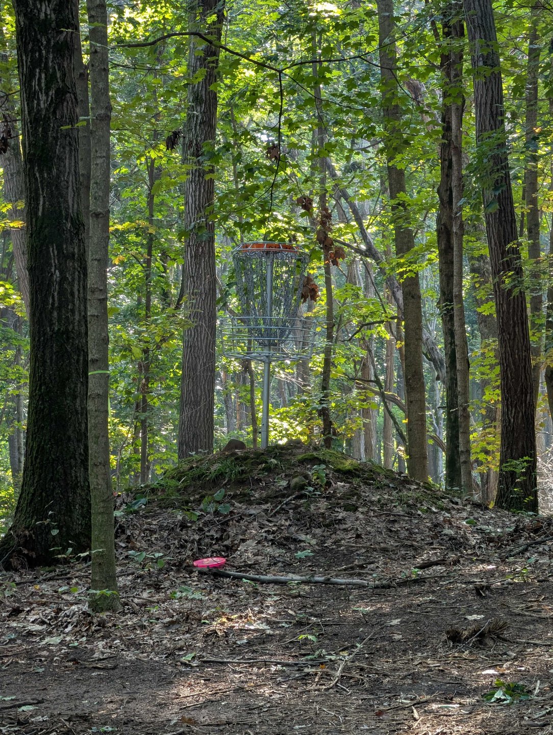 Hole 13 - Zoomed in pin location from fairway 