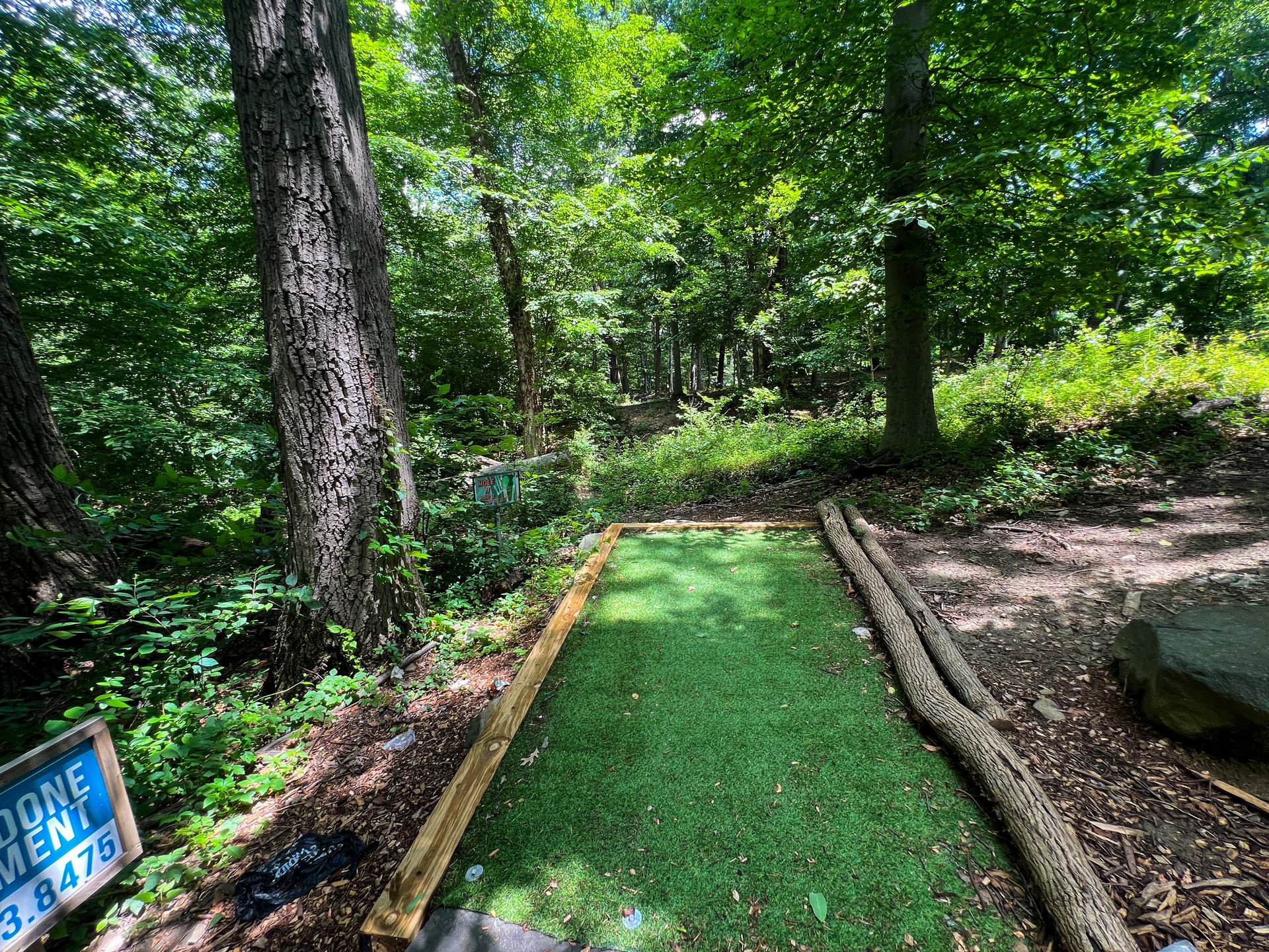 Hole 11's tee. Both Yellow and Pink are par 3. Pink is 298 ft away and is straight ahead of tee. Yellow is 301 ft, past and to the right of Pink's basket. OB in the left side of the hill. There are white poles with red caps showing the OB line. 