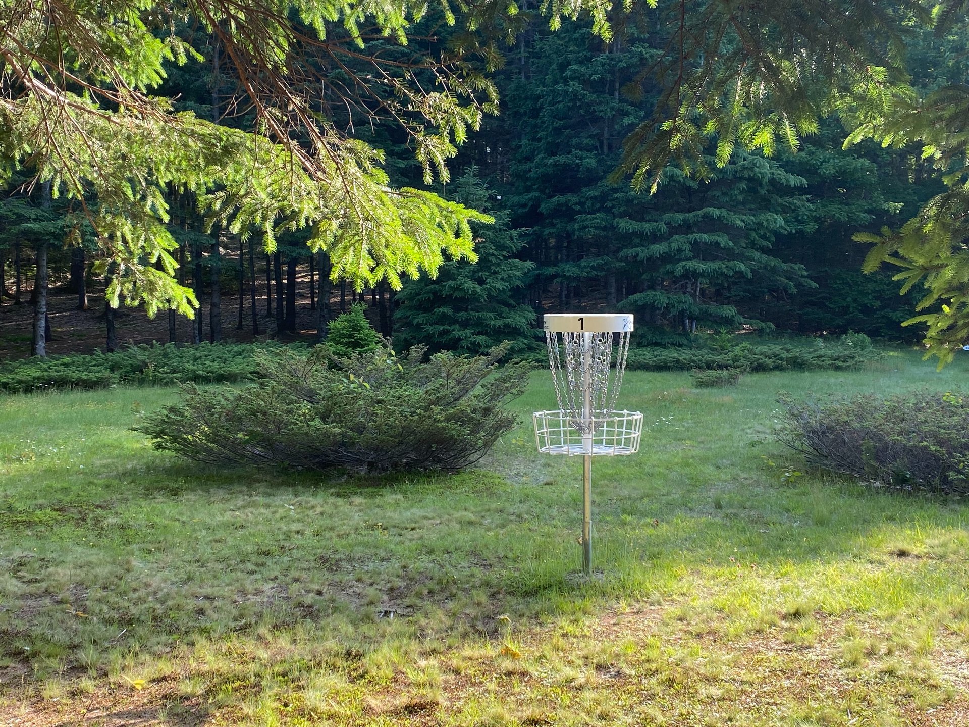 #1 from behind basket