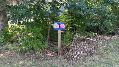 Loaner disc station!