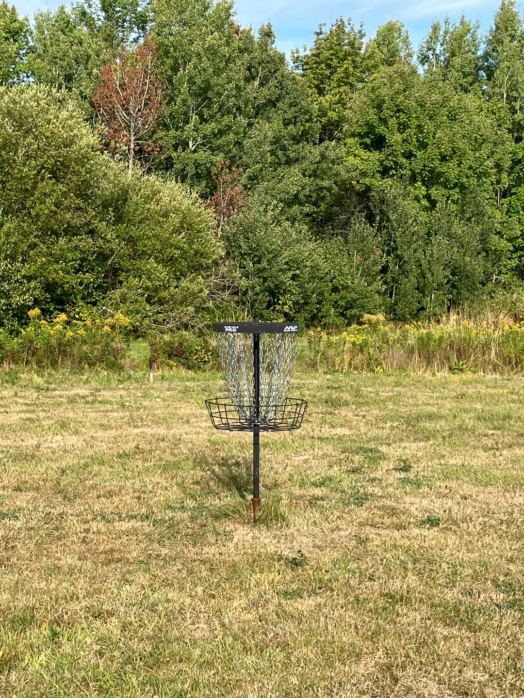 Hole 2 basket