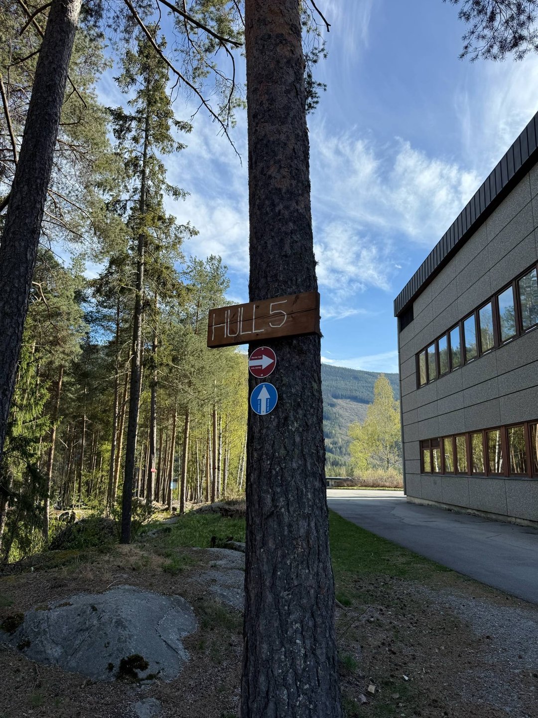 Rødt utkast