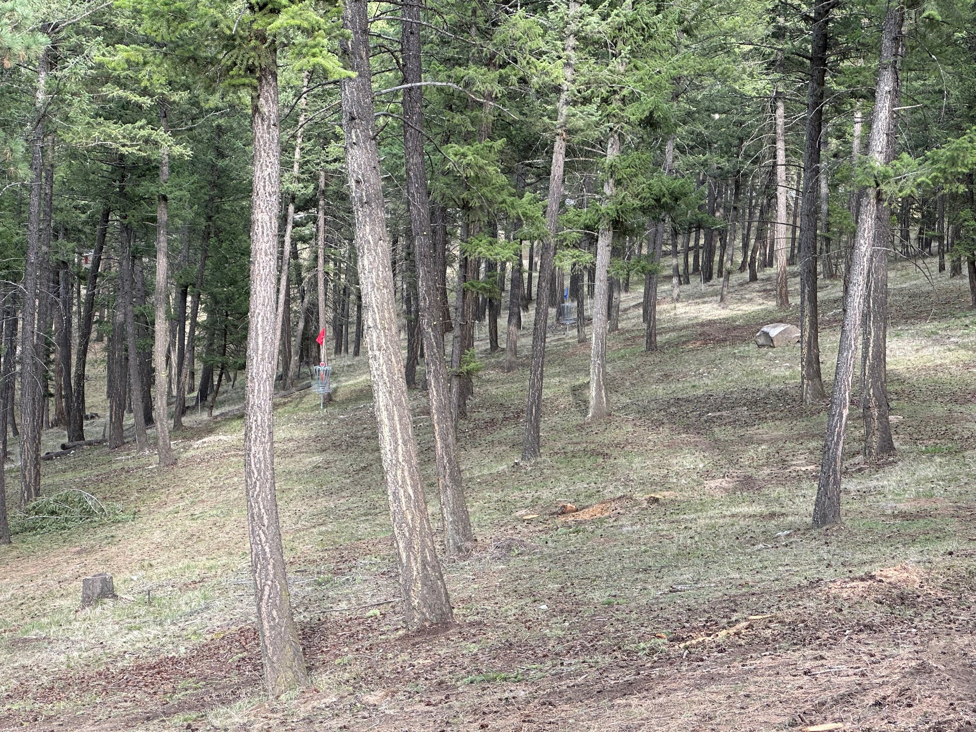 View from Tee Pad on hole 14 - new 2 fairways - Blue tee (on RT) extended 15 feet 