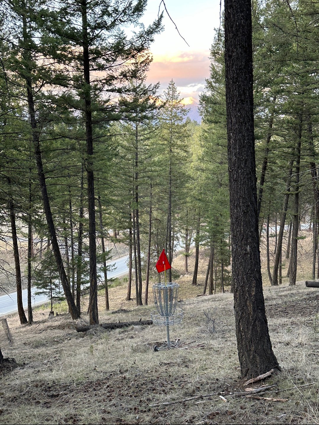 14 Red position / did lot of work on this hole - looking good - playing hard with OB down hill - Fence does not save ob stroke (just your legs for nor having to get your disc)