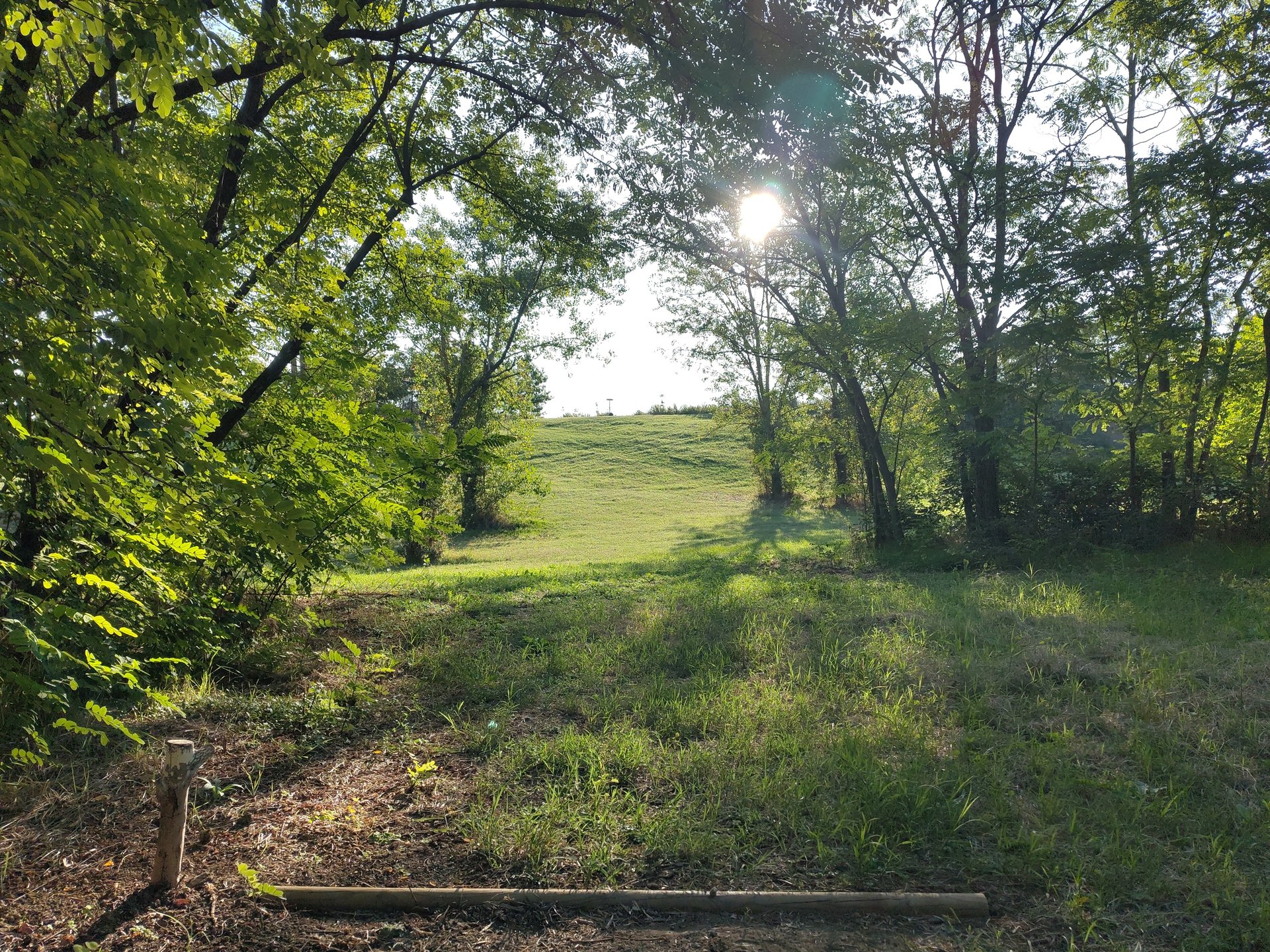tee hole 2