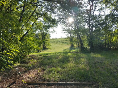tee hole 2