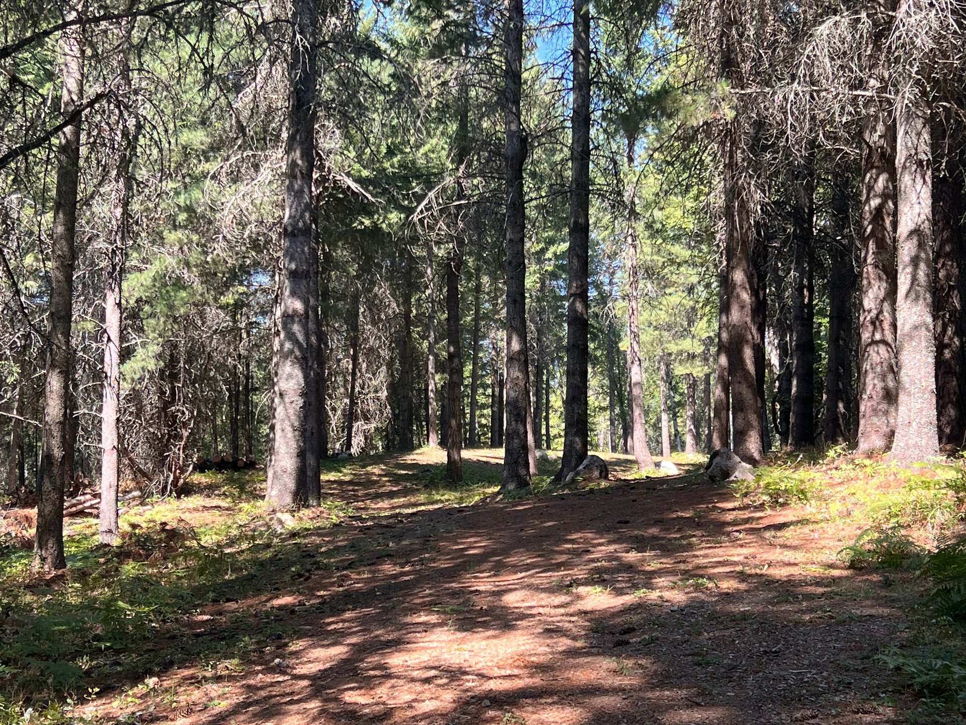 Looking off hole 5’s teepad