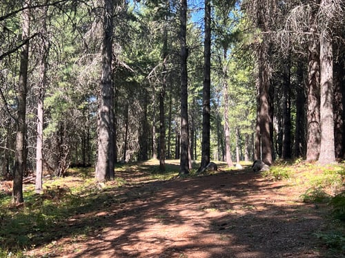 Looking off hole 5’s teepad