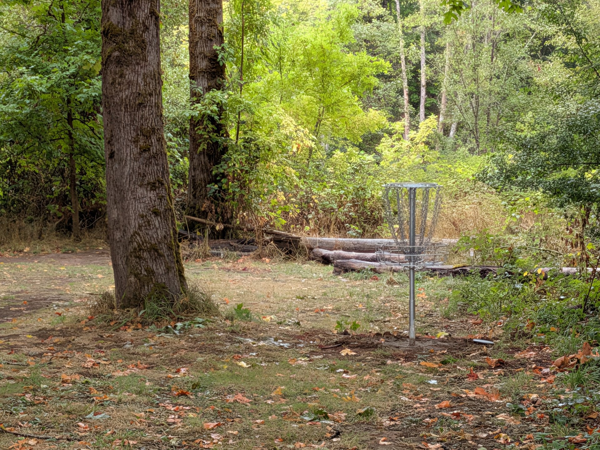 New placement for hole 4 (formerly hole two). 