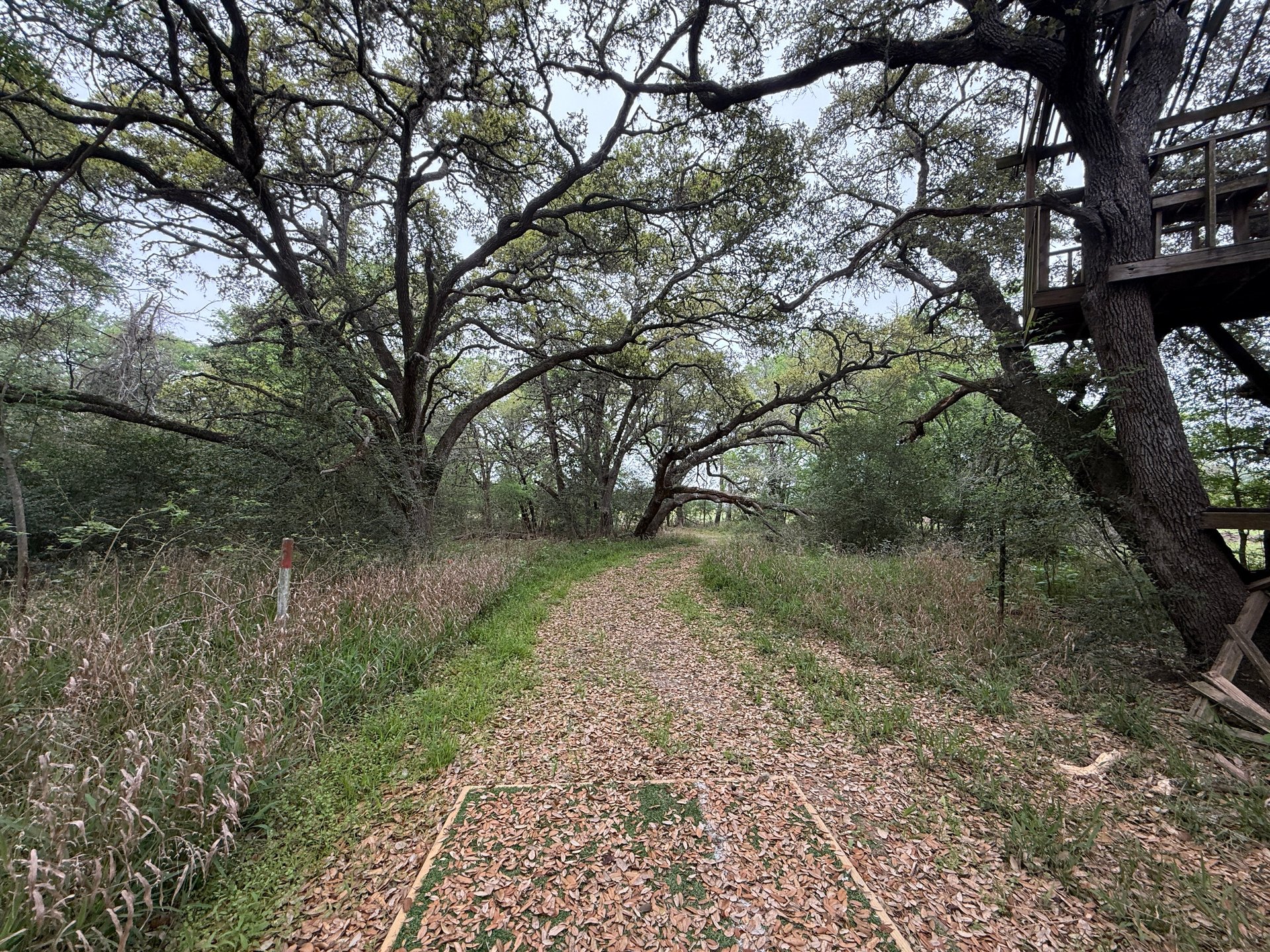 Hole 5 Tee