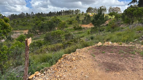 View from the Tee on Hole 4.