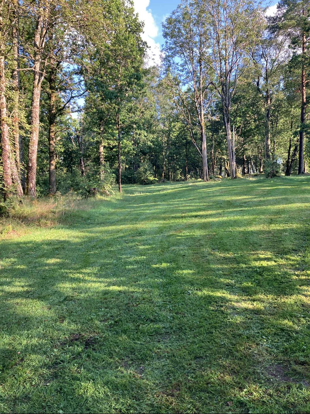 Fairway hole 16