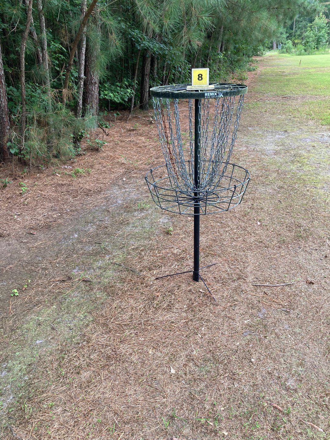 Hole 8 basket 