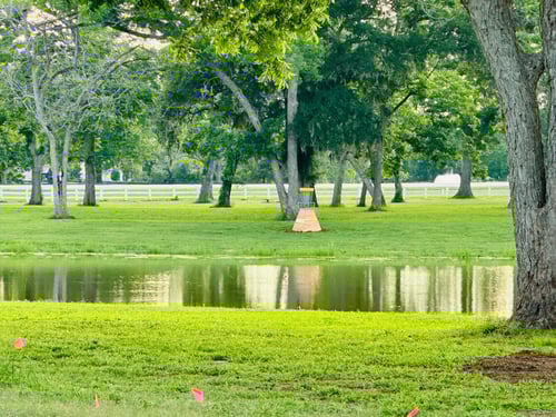 Hole 2 across the pond