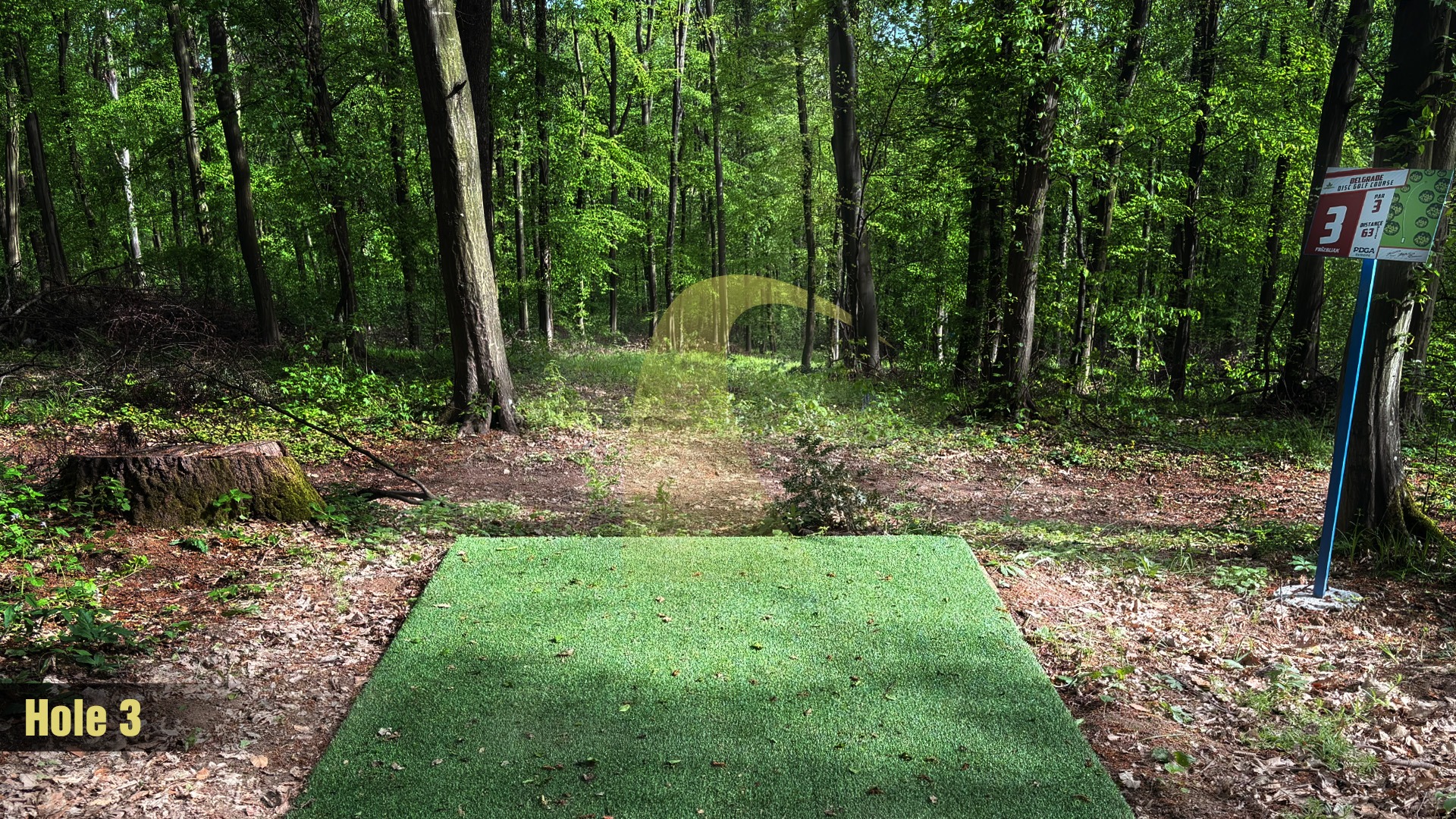 Tee 3