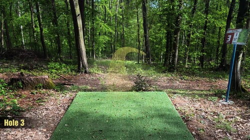 Tee 3