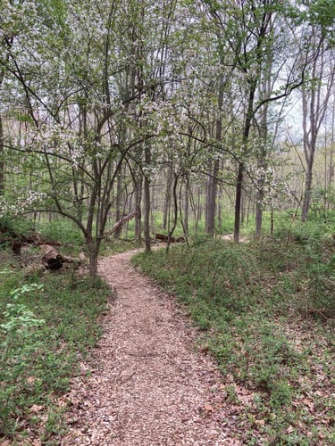 Path from Hole 14 to Hole 15