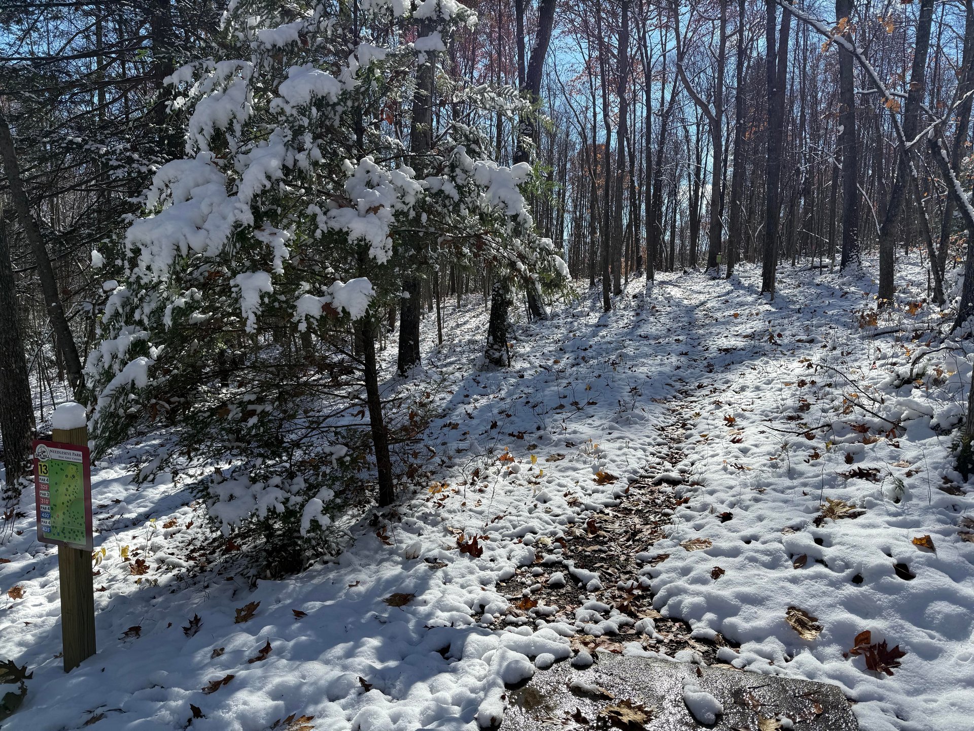View from the long teepad