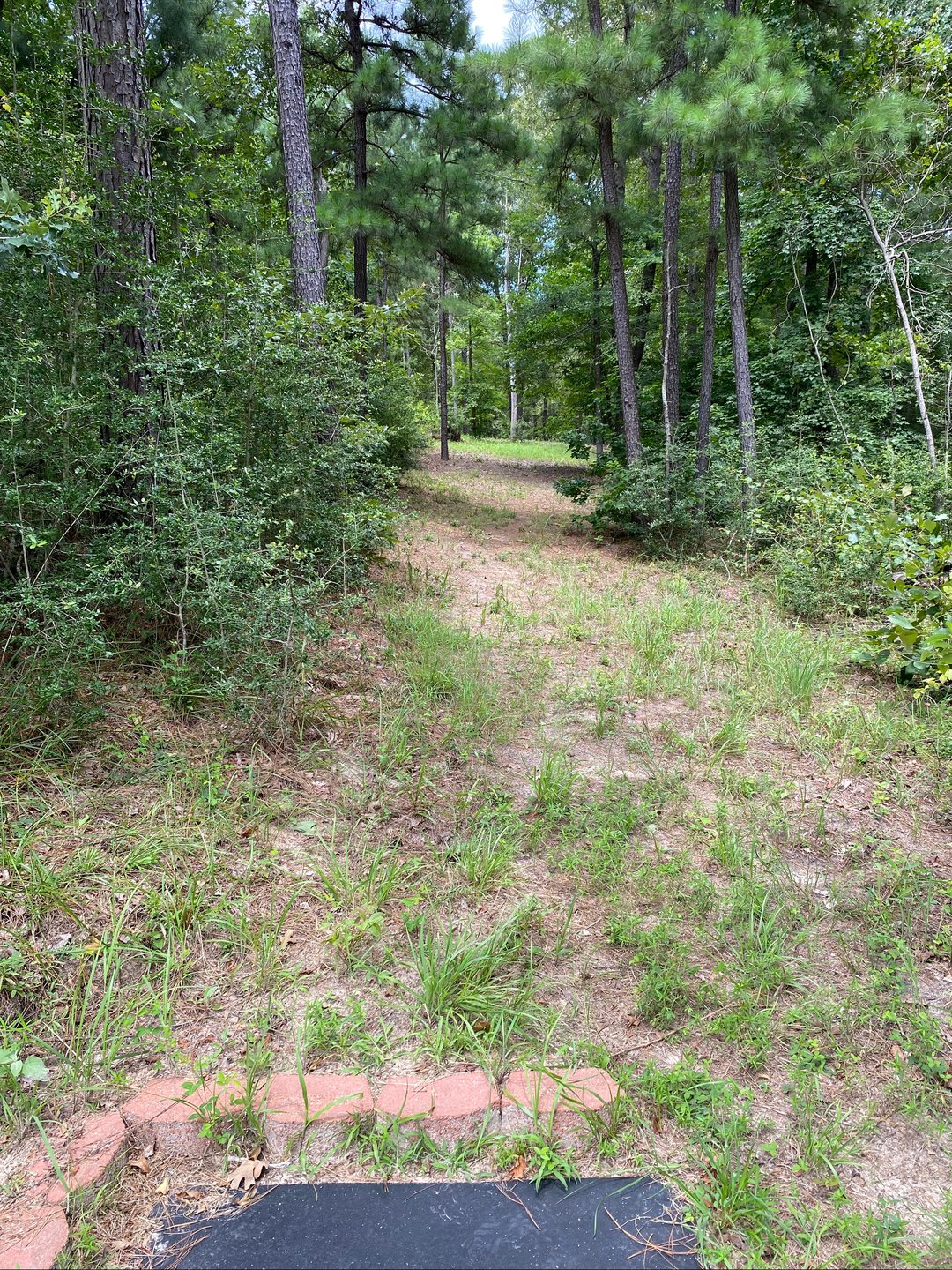 Uphill to the left 