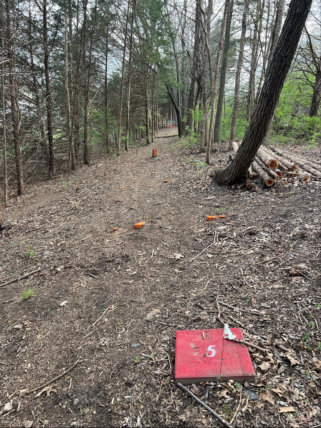 Hole 5 Red
