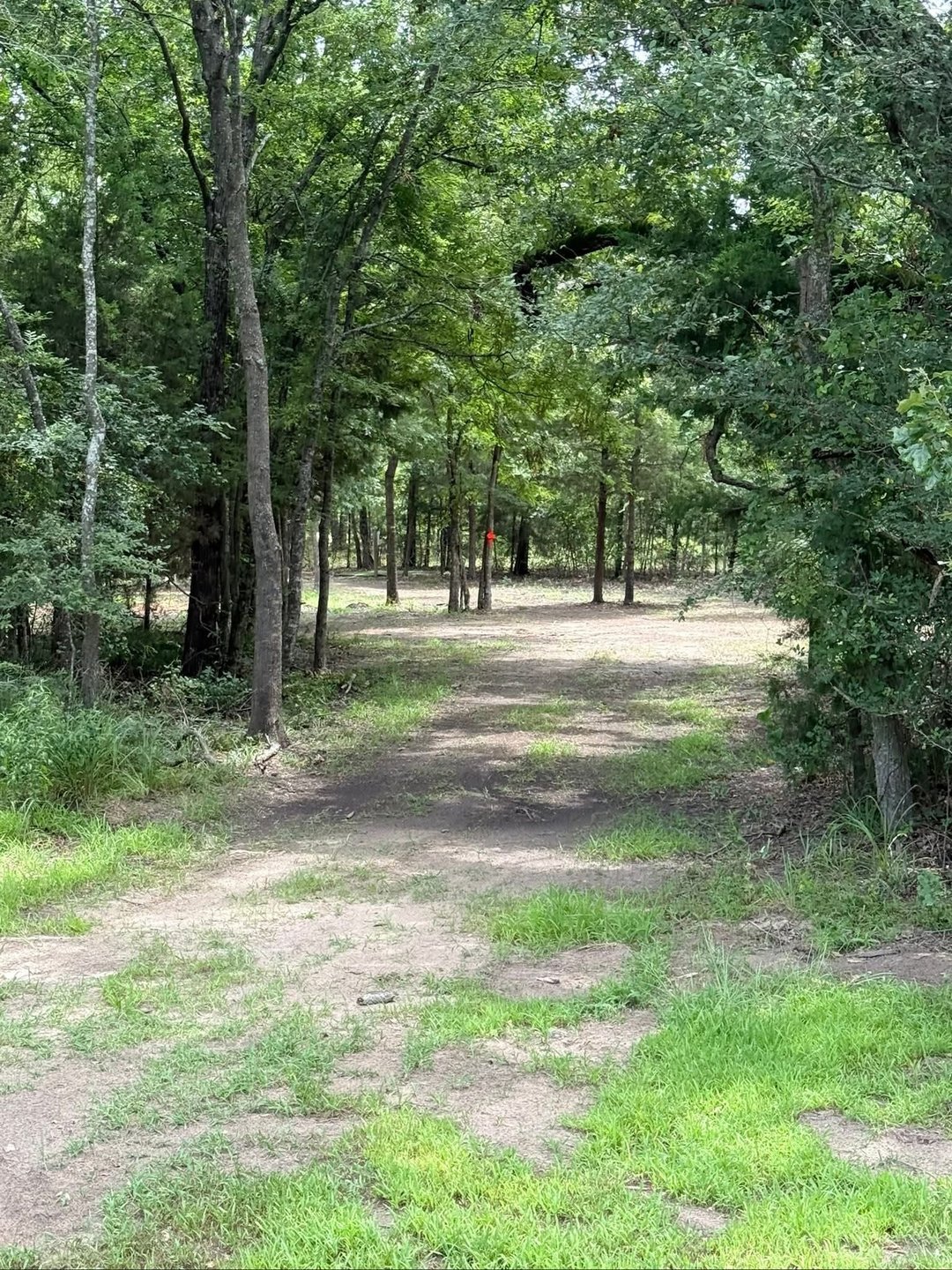 Crossroads DGC- Canton