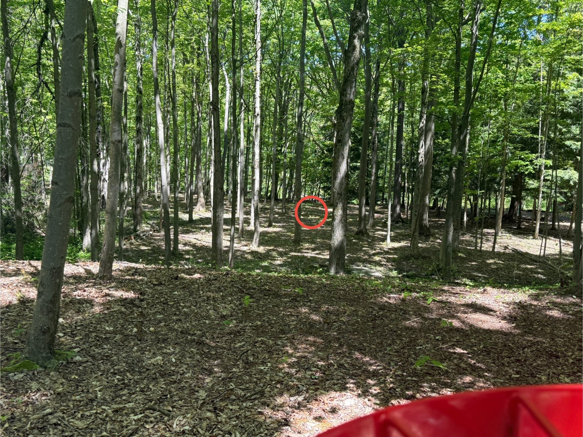 Hole 6 Basket to Landing Zone