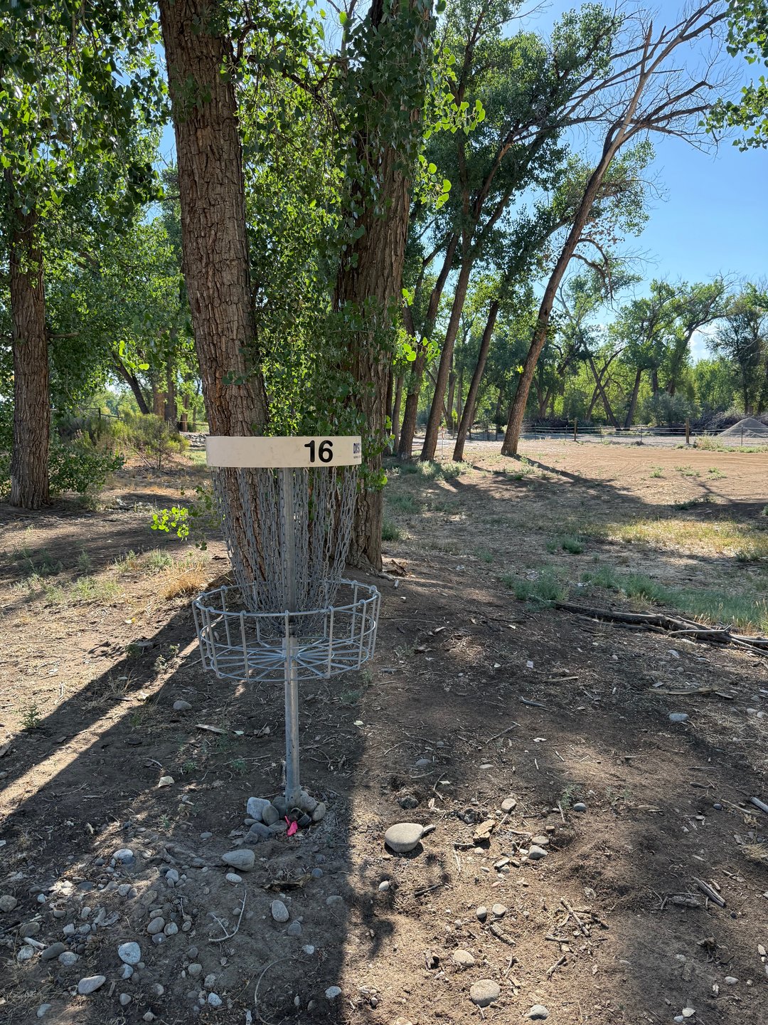 The short basket of hole 16.