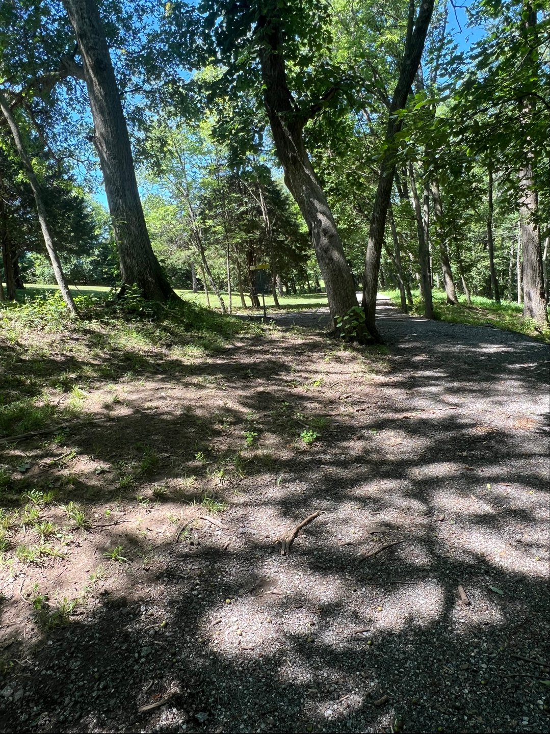 Hole #9 standing in fairway facing basket 