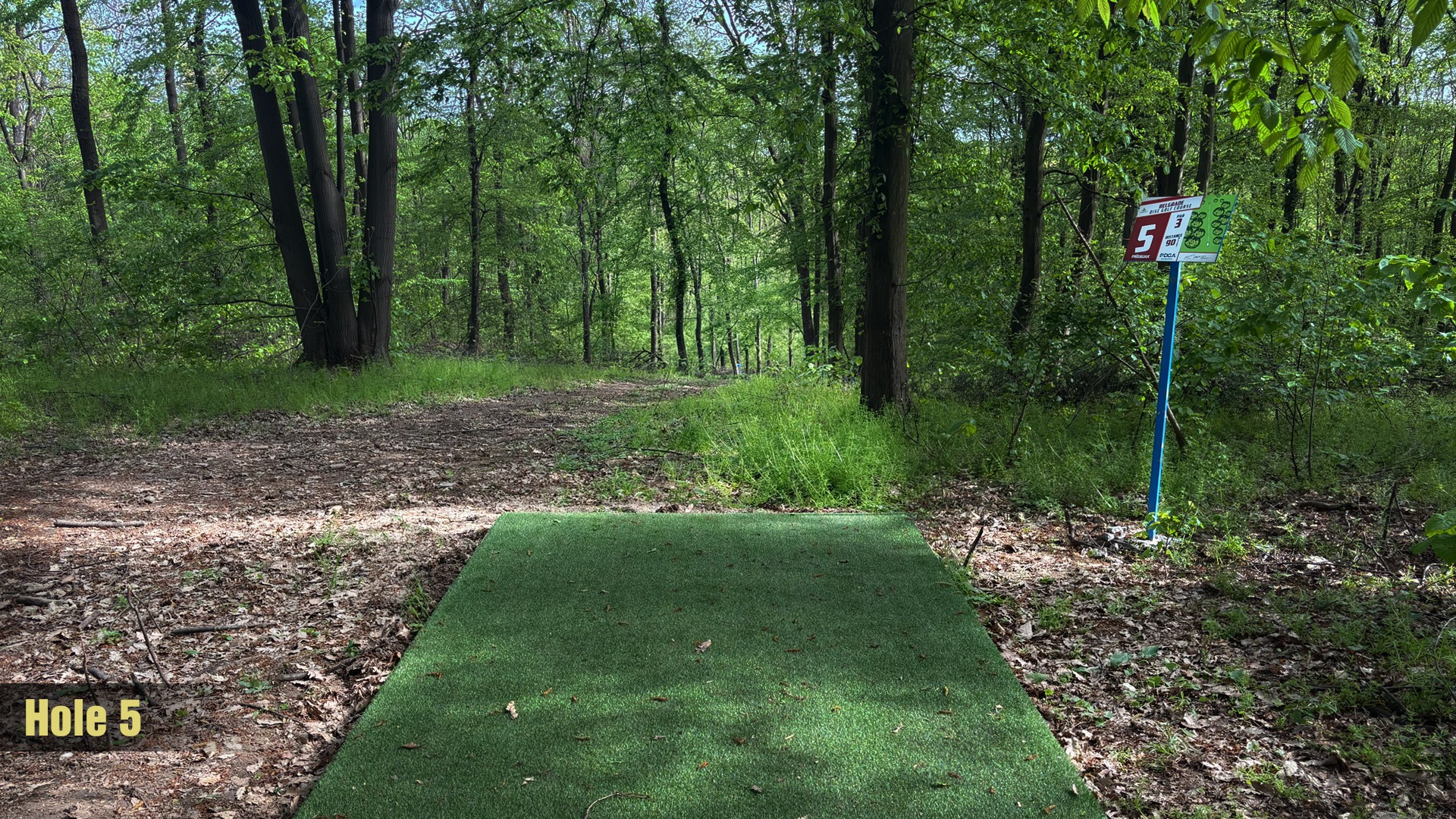 Tee 5