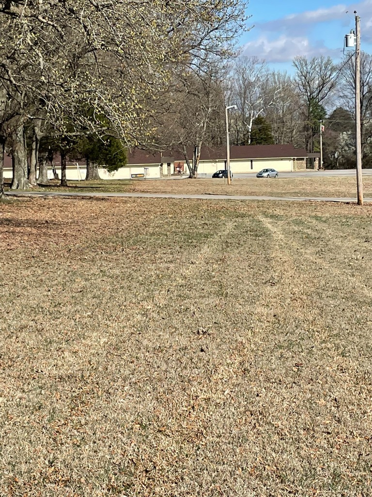 From the short tee