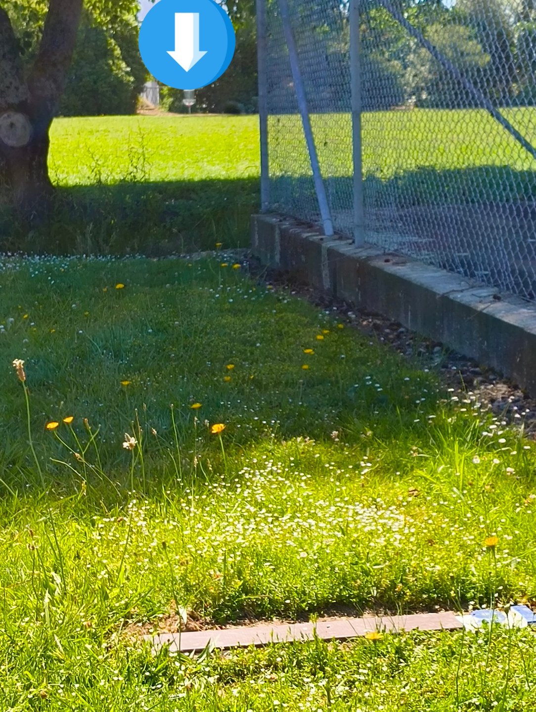 T9 - anywhere from the line of the board to Park Ave on the grass.