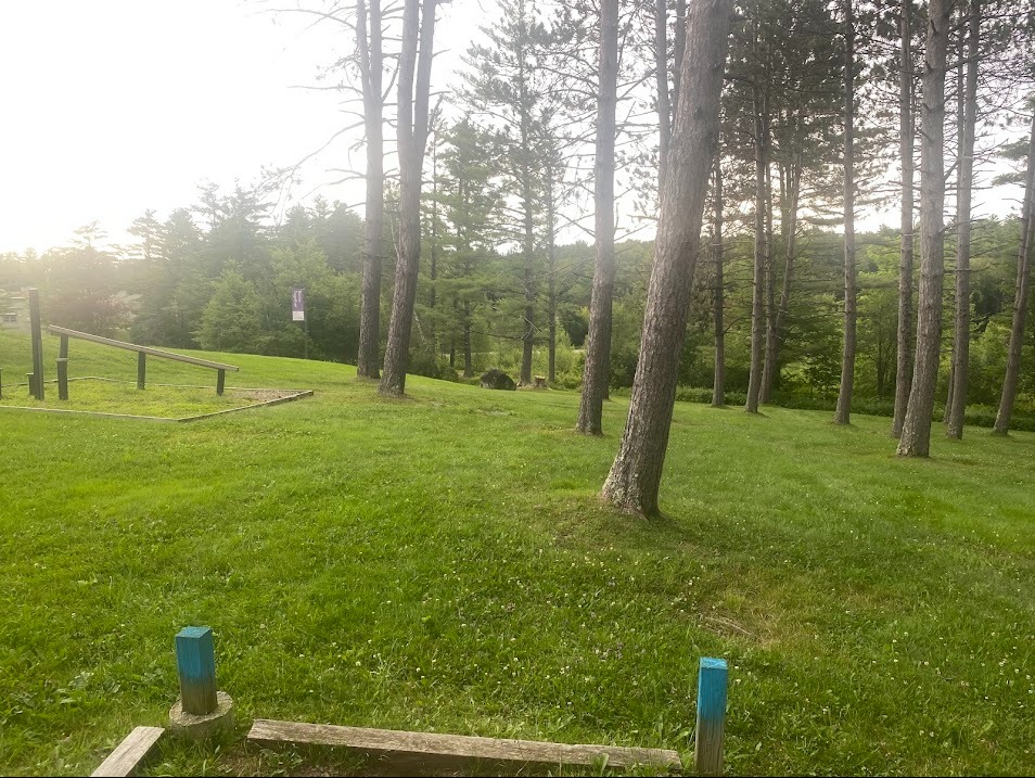 Hole 9 Tee after trees by basket were cut. 