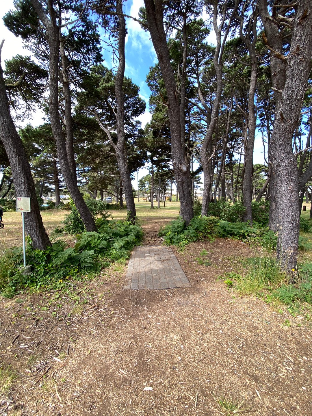 Tee pad for Hole 18 on the Main layout and Hole 14A on the Bandon 30 layout.