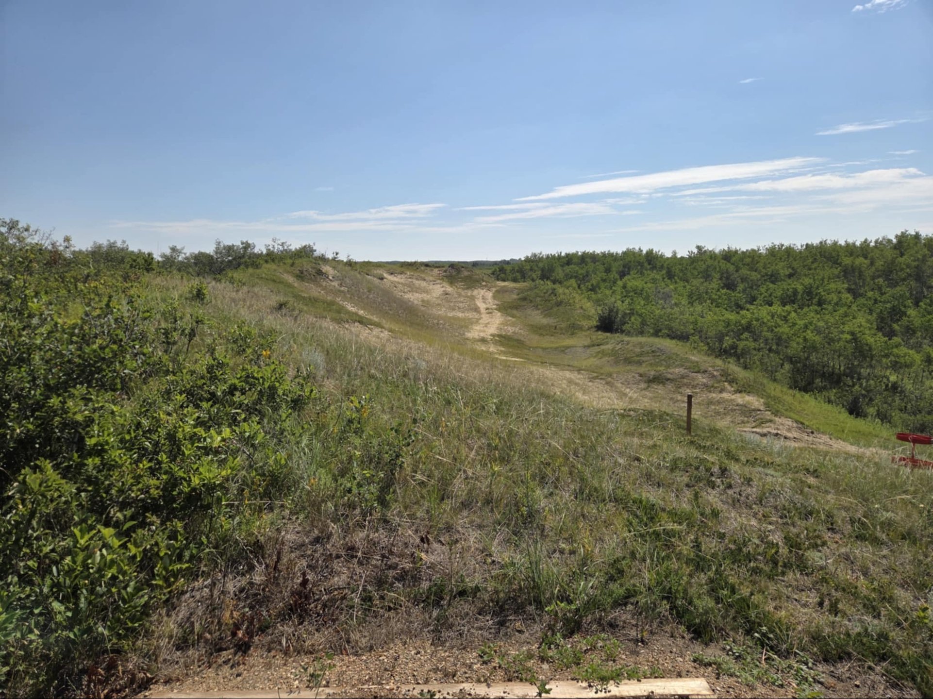 Hole 9 basket