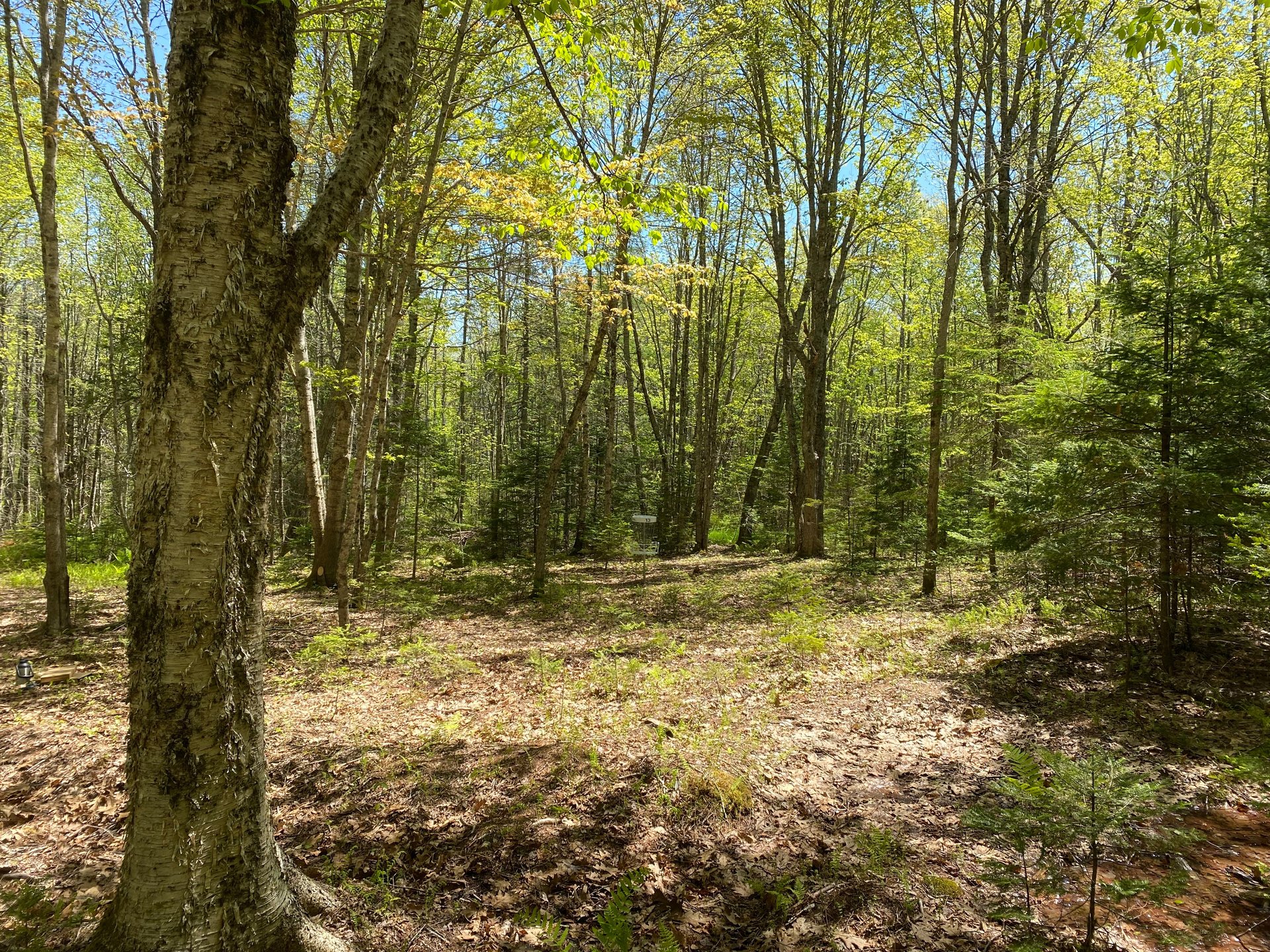 Approach to basket