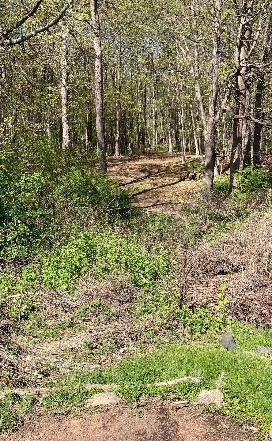 View from Hole 11 blue tee