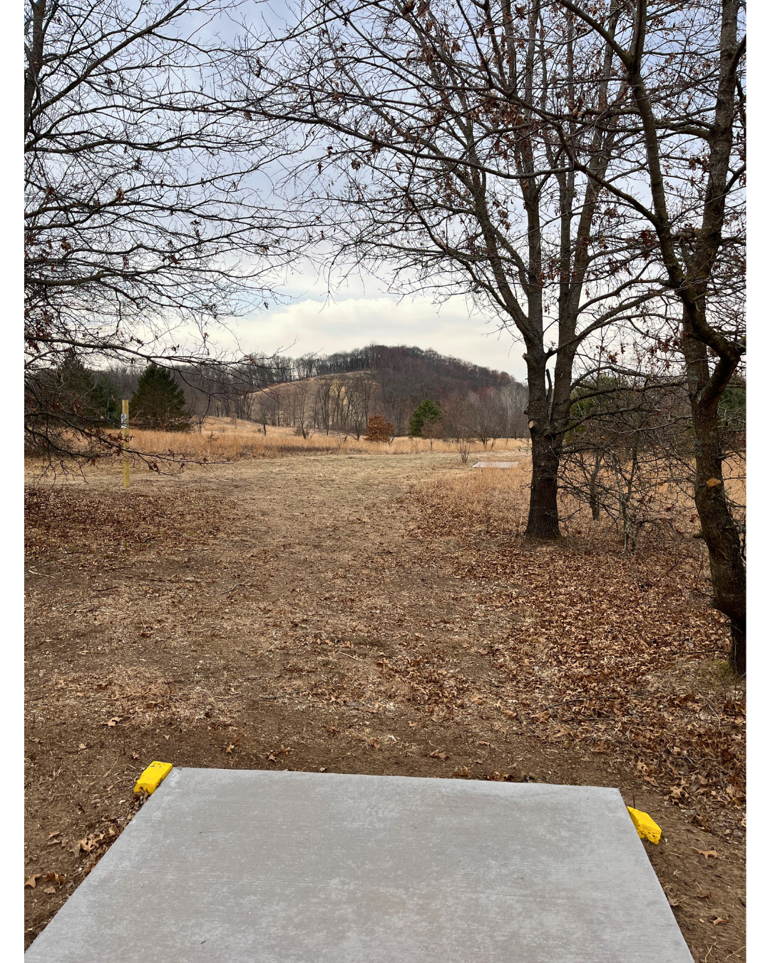 Hole 13 - Gold Tee