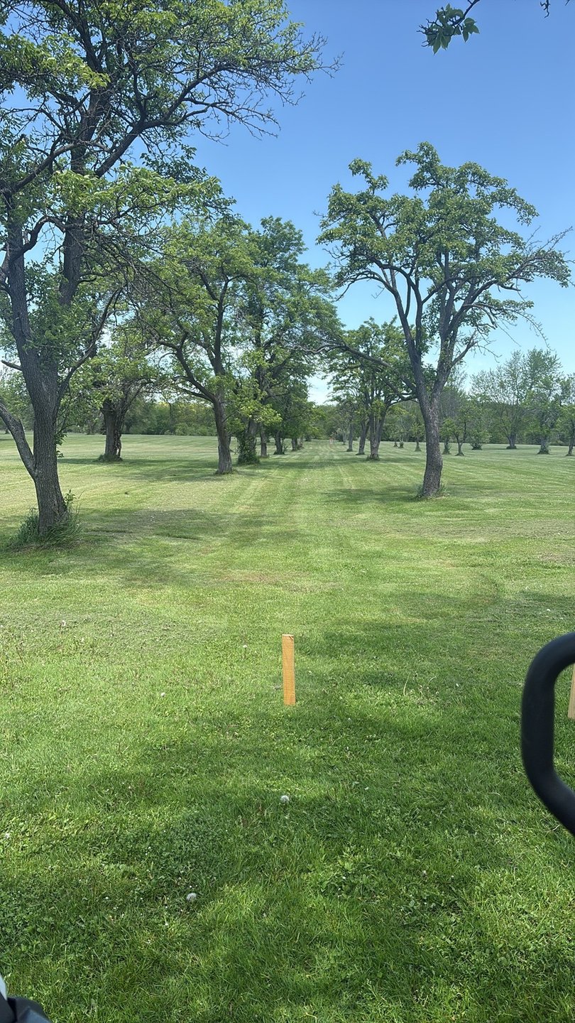 nice straight shot through the trees